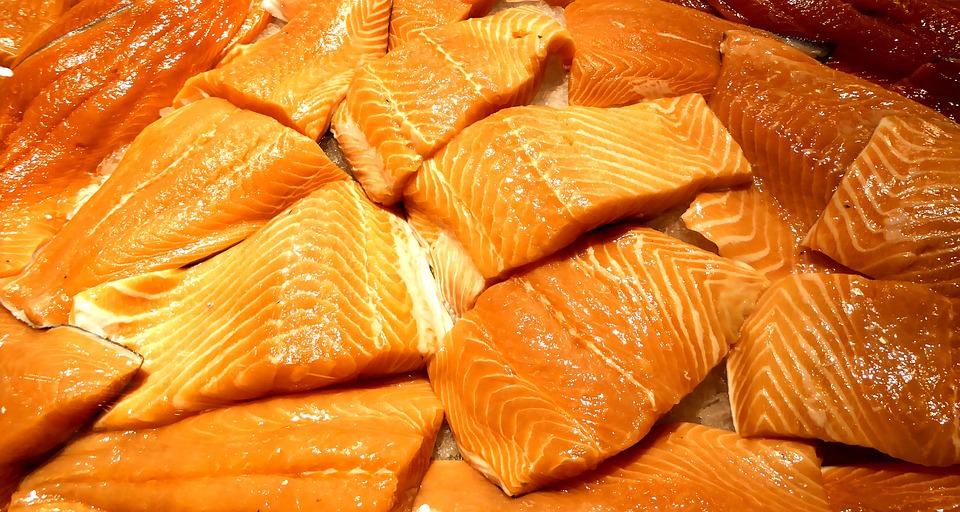 salmão de cativeiro tem substâncias químicas e causa câncer
