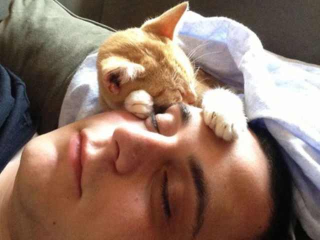 gente