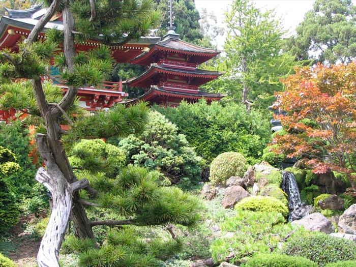 jardim japonês