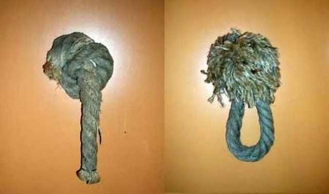 Divertidas Placas de Banheiro