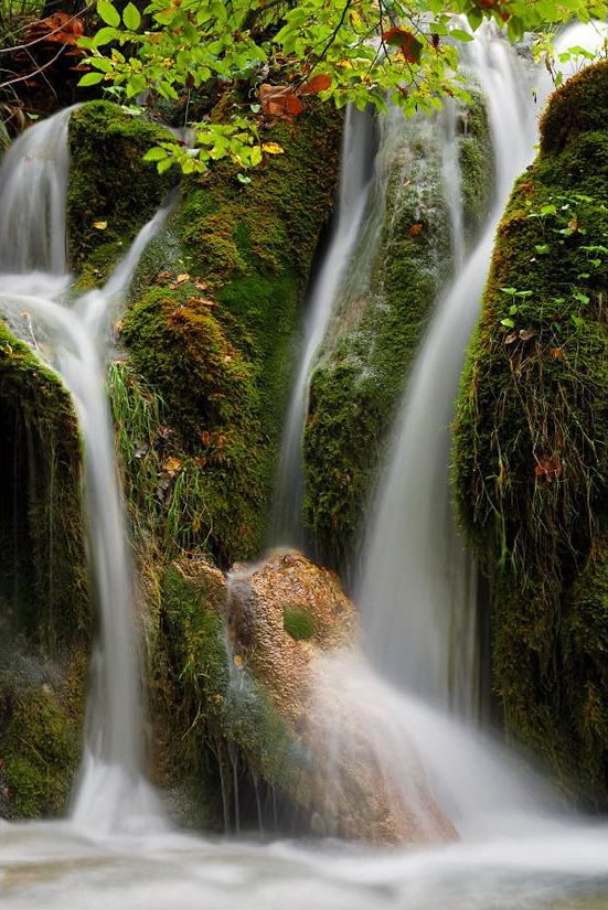 Jardim Secreto da Croácia