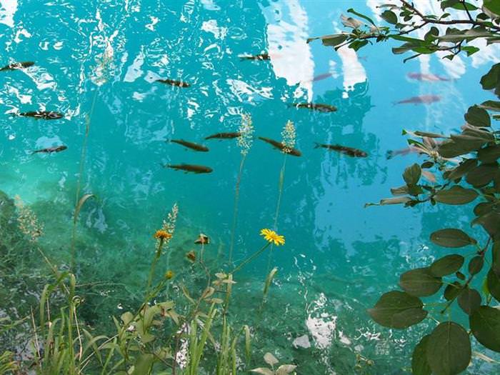 Jardim Secreto da Croácia