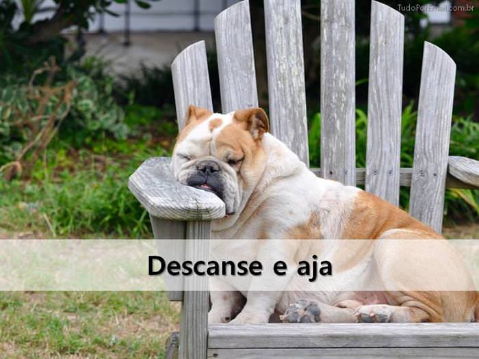 Os Mais Importantes Conselhos do Dalai Lama