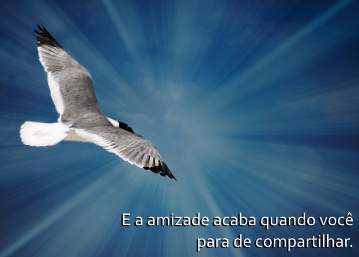 Os Segredos da Idade