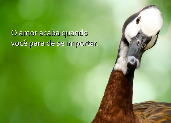 Os Segredos da Idade