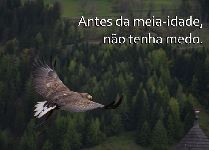 Os Segredos da Idade