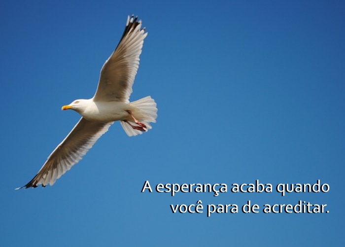 Os Segredos da Idade