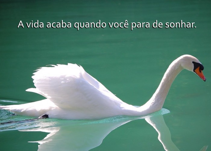 Os Segredos da Idade