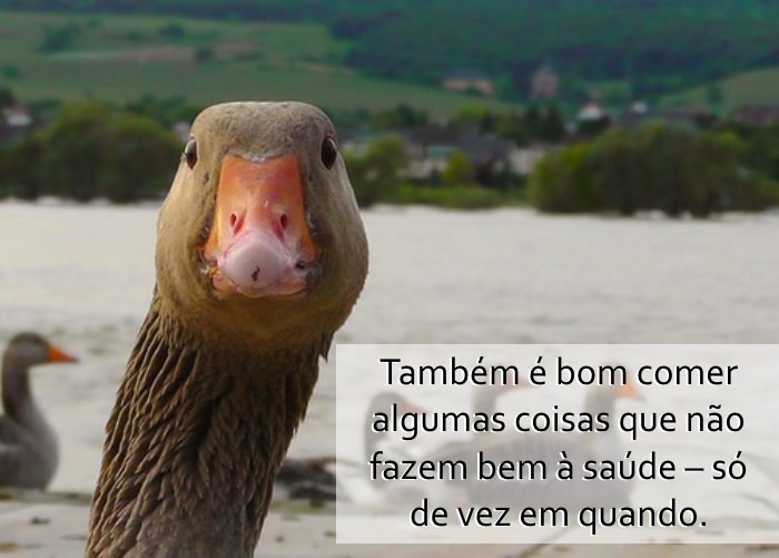 Os Segredos da Idade