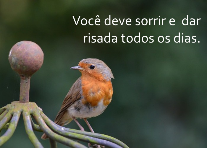 Os Segredos da Idade