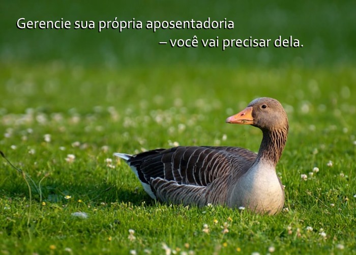 Os Segredos da Idade