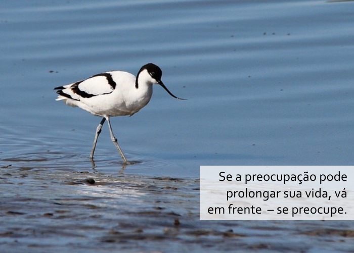 Os Segredos da Idade