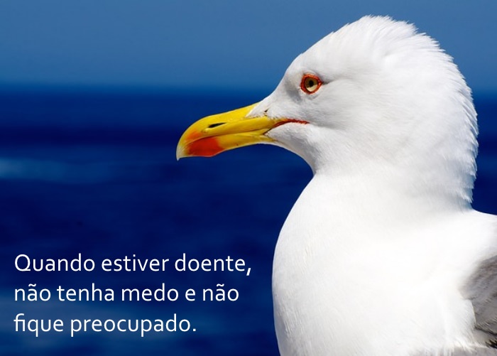 Os Segredos da Idade