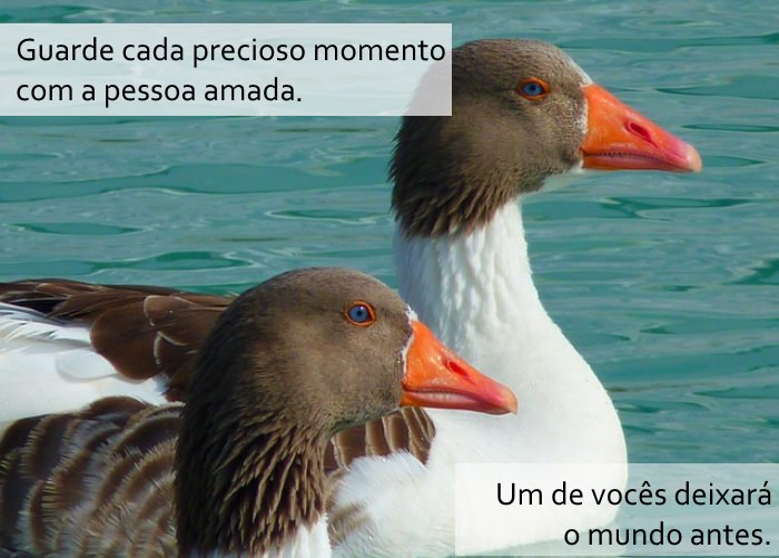 Os Segredos da Idade