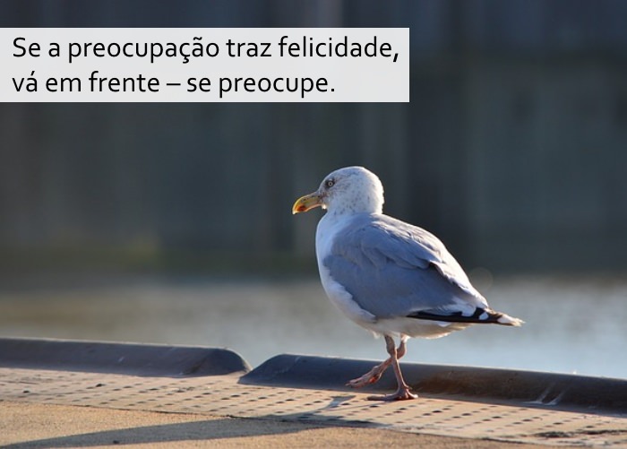 Os Segredos da Idade