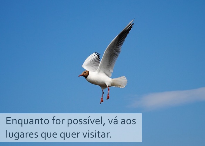 Os Segredos da Idade