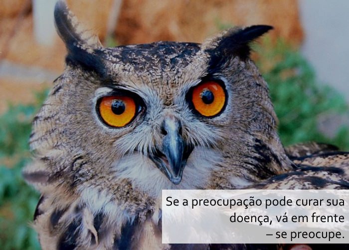 Os Segredos da Idade