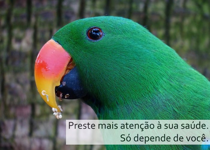 Os Segredos da Idade