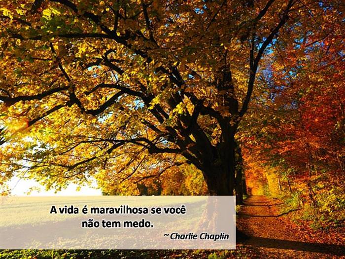 45d2ed6d-d314-4d27-b62a-e7b7303199e5.jpg