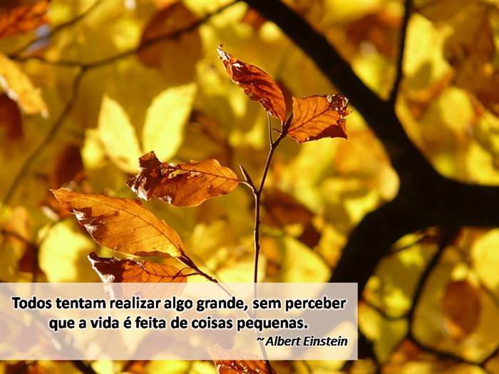 55e999ef-ec50-4140-91b7-d620494c1bd7.jpg