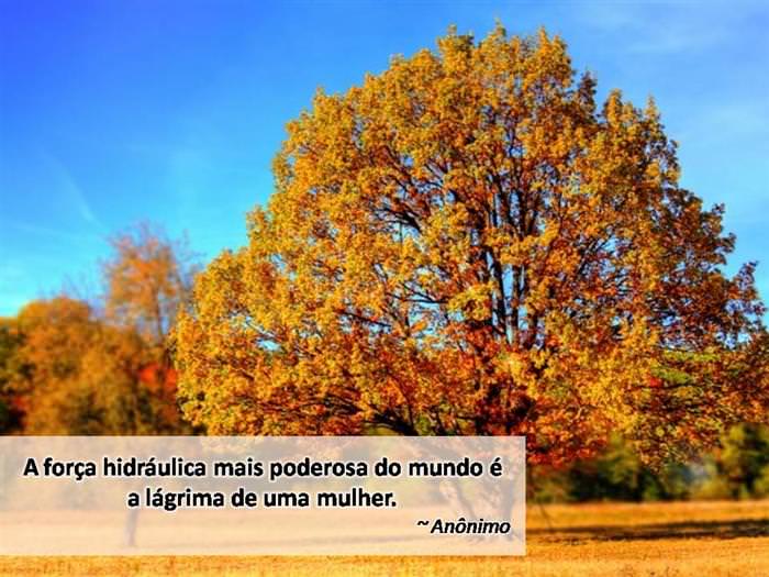 991d7459-1bcc-4de9-9d55-fadb39fd8a60.jpg