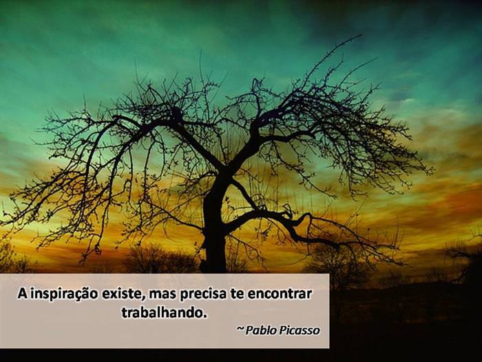 a54c54b7-131b-4b4b-9be6-8442625f4301.jpg