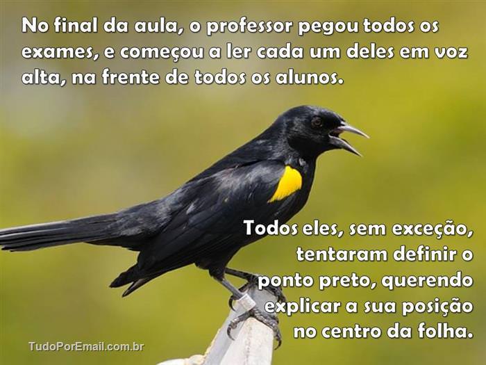 ponto preto
