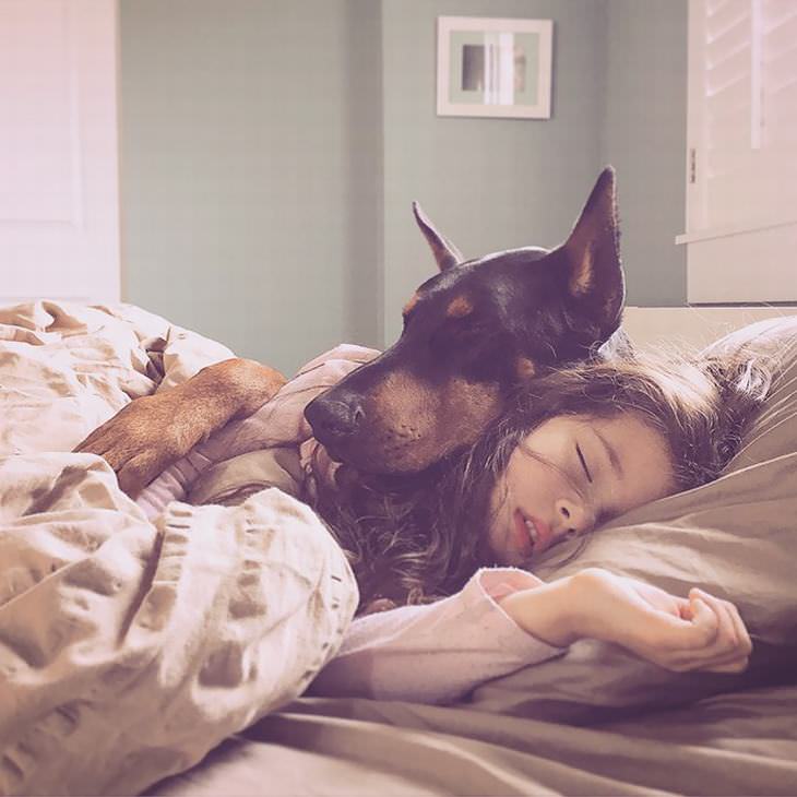crianças e cachorros fofos na cama tudoporemail