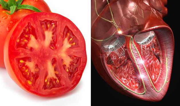 tomate faz bem ao coração, pois tem antioxidantes