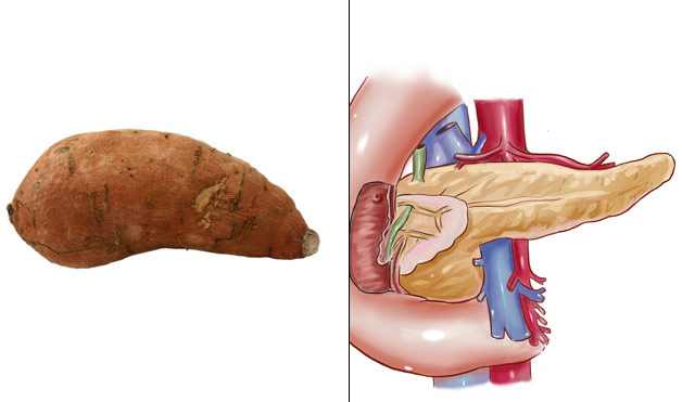batata-doce faz bem para o pâncreas