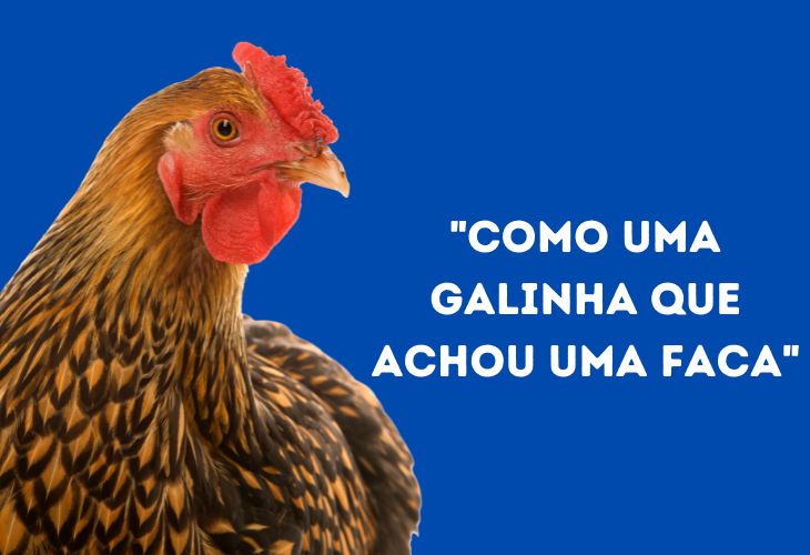 Funny Animal Phrases,chicken 