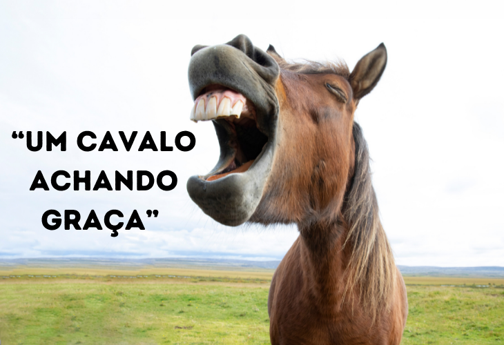 Funny Animal Phrases, horse 