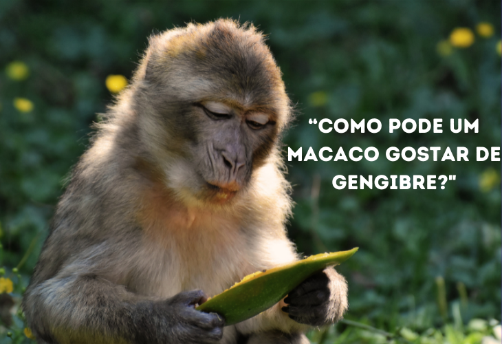 Funny Animal Phrases, monkey 