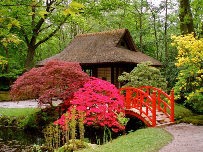 jardim japonês