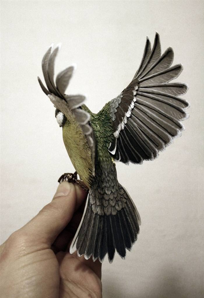 Os Incríveis Pássaros de Papel de Zach Mclaughlin