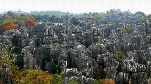 A Floresta de Pedras Shilin
