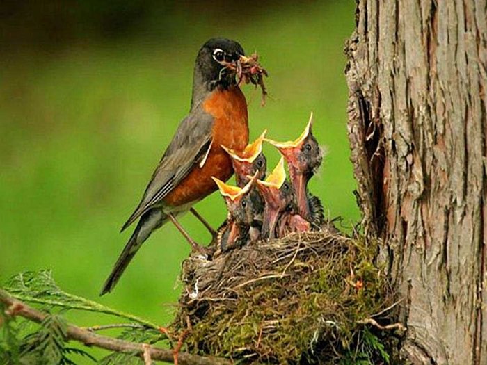 Estes Retratos De Família Vão Lhe Encher o Coração