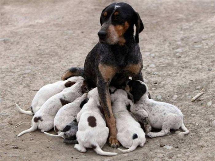 Estes Retratos De Família Vão Lhe Encher o Coração