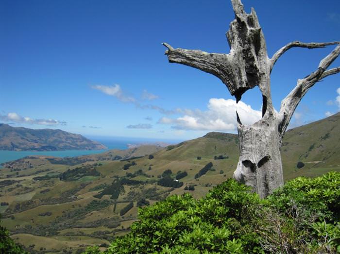 25 Fotos Da Ilha Mais Bela da Nova Zelândia