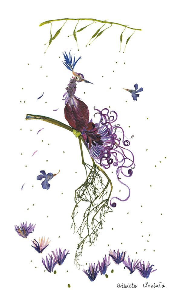 Elżbieta Wodała e Sua Arte em Flores Secas