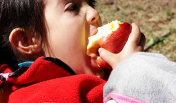 Como ensinar as crianças a se alimentarem de forma saudável!