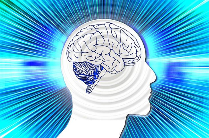 Os Mais Fascinantes Fatos Sobre o Cérebro Humano