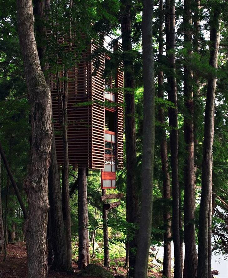 modernas casas de árvore