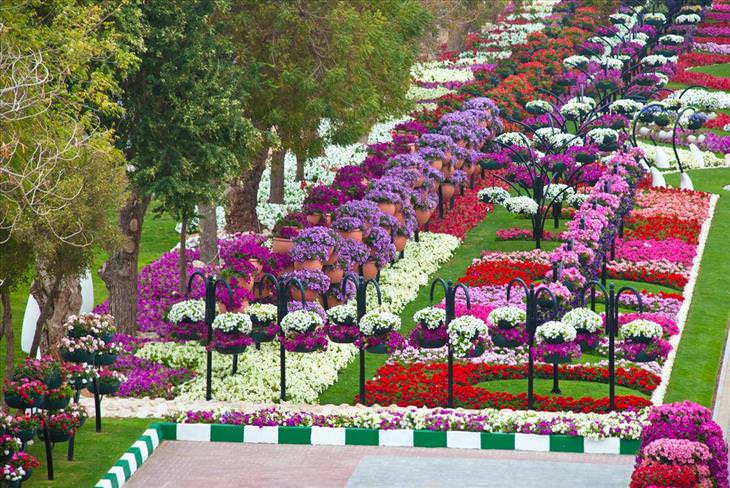 O jardim que mais parece um paraíso Al Ain nos Emirados Árabes