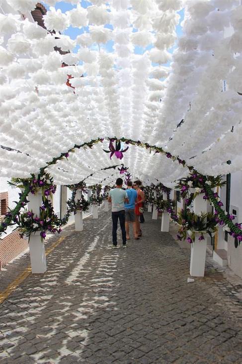  Festival das Flores de Campo em Portugal!