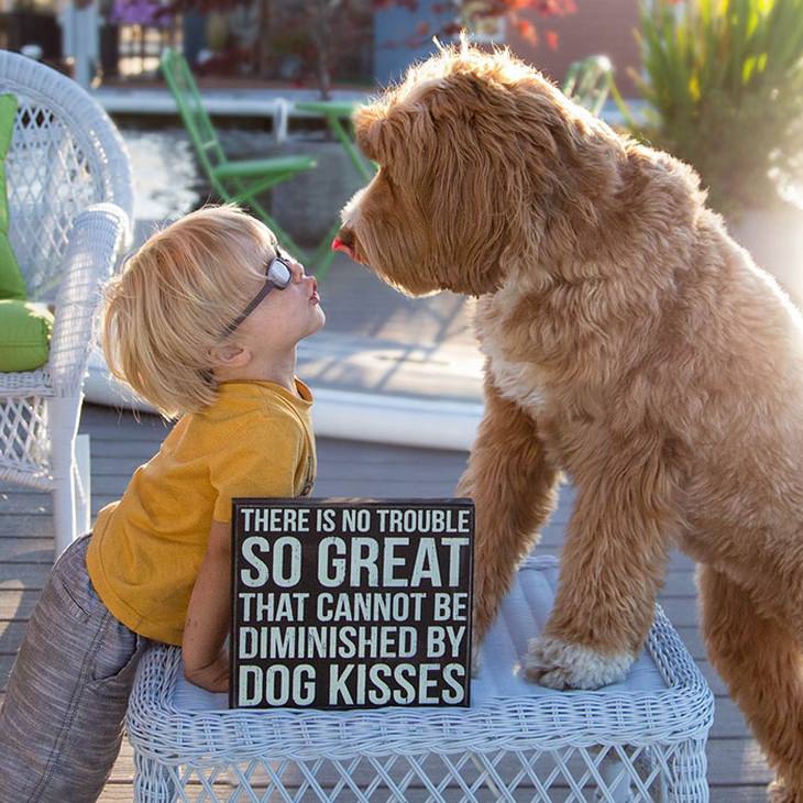 amizade entre cão e menino vai virar livro