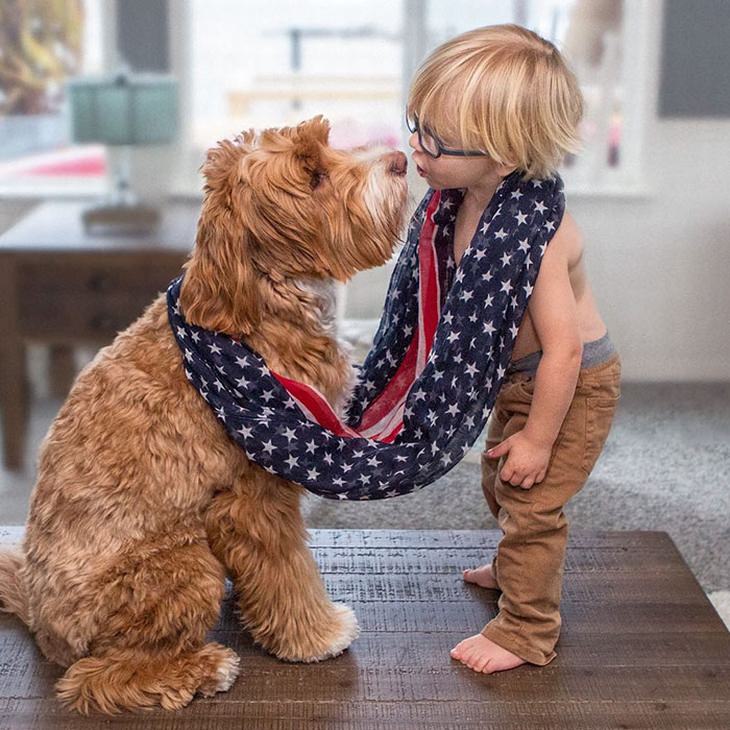amizade entre cão e menino vai virar livro