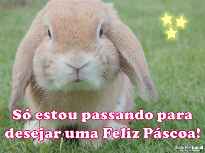 cartão