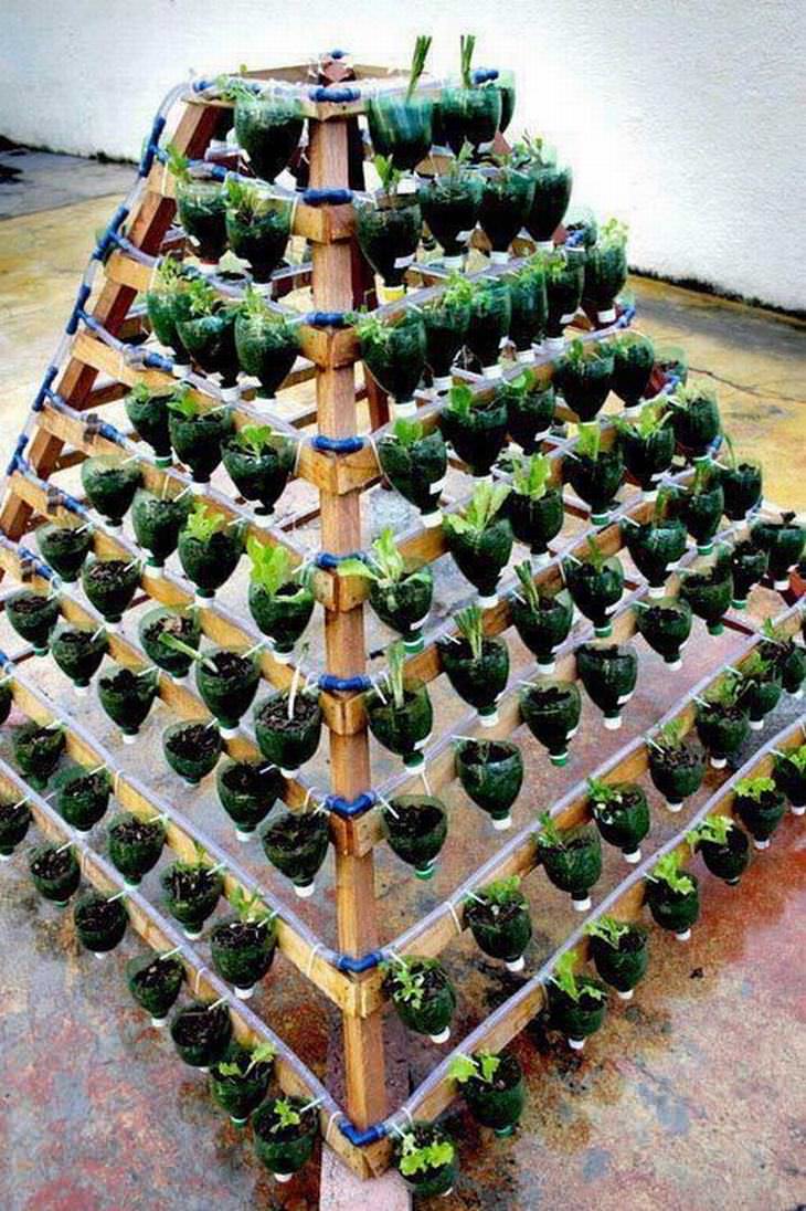 20 Maneiras de Criar Um Jardim Vertical