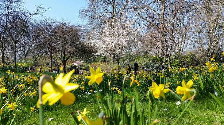 primavera de Londres
